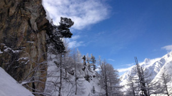 freeride